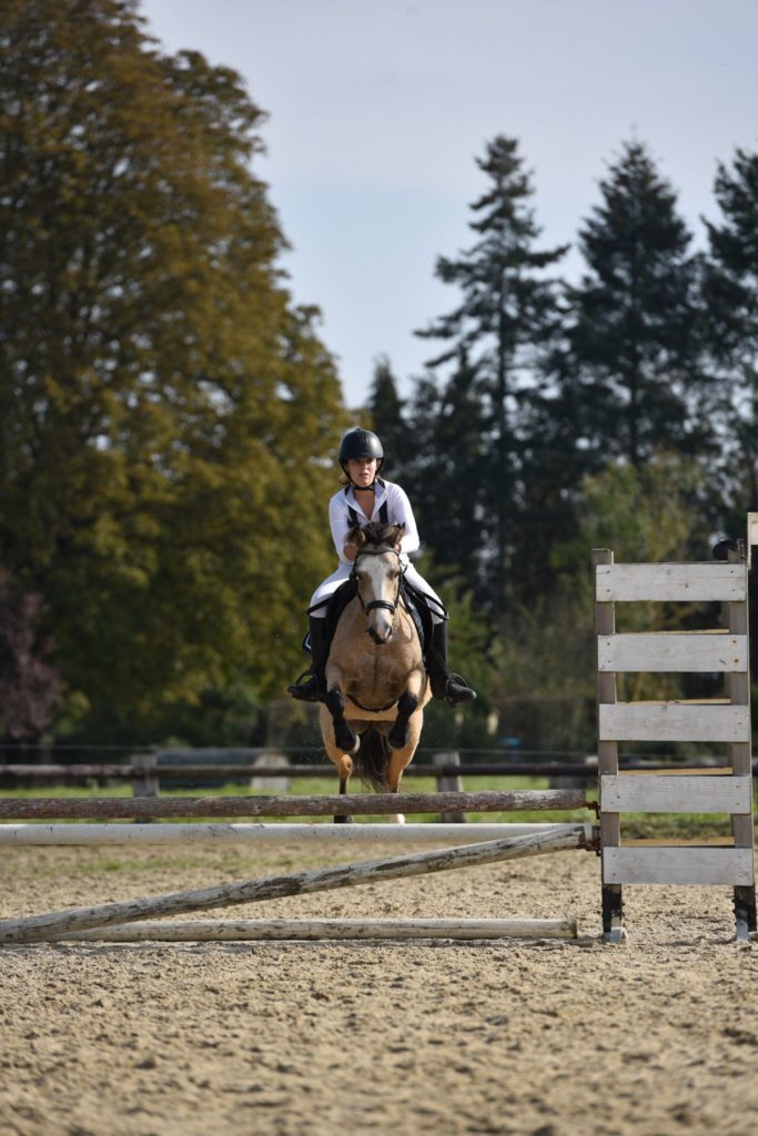 cheval et sa cavalière en train de courir