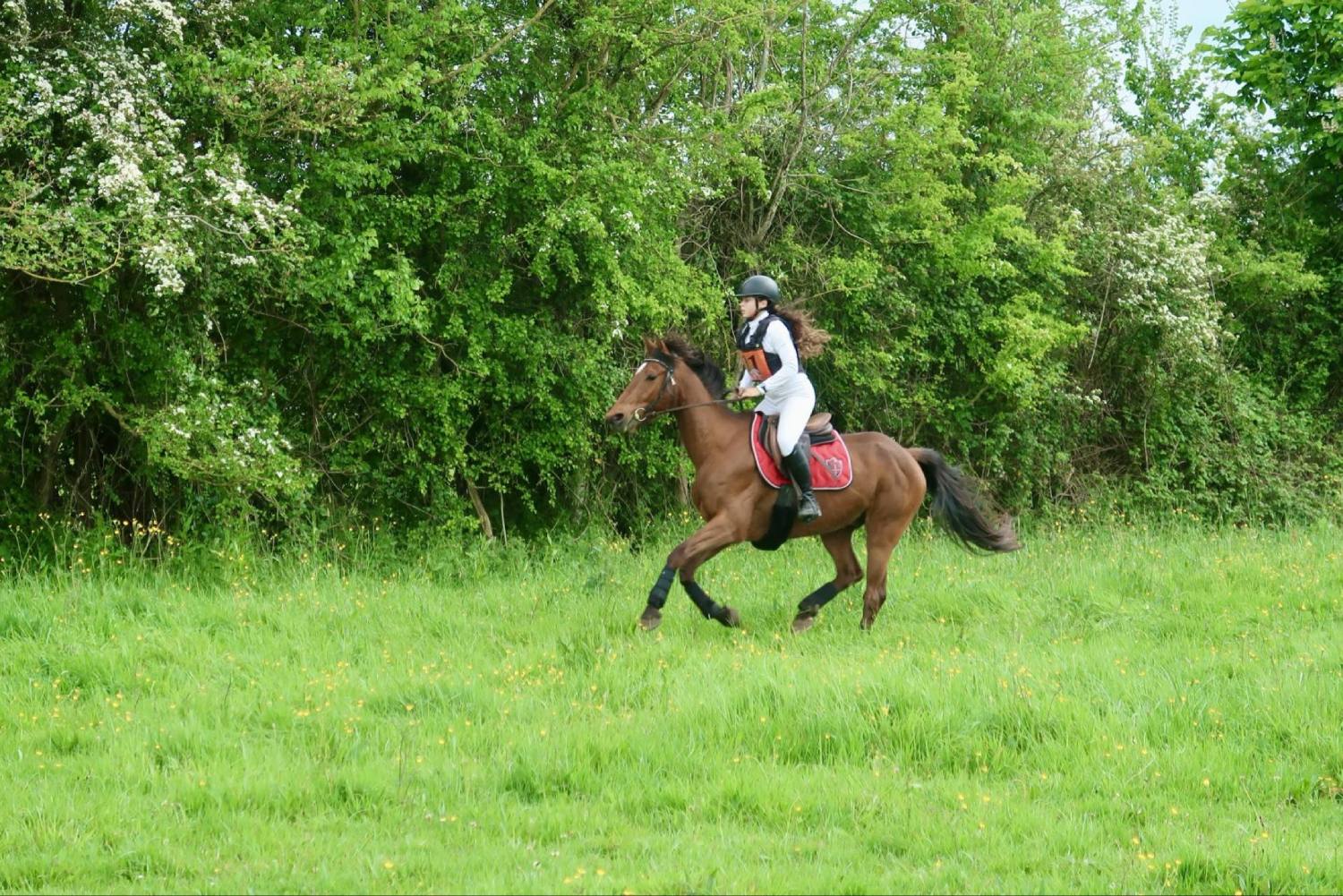 cheval et sa cavalière en train de courir